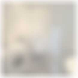 Foto #13 Kamer Frans Bekkerstraat Rotterdam