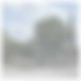 Foto #16 Kamer Frans Bekkerstraat Rotterdam