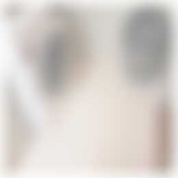 Foto #5 Kamer Verheijstraat Vlaardingen