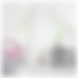 Foto #6 Appartement Venuslaan Eindhoven