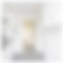 Foto #12 Appartement Venuslaan Eindhoven