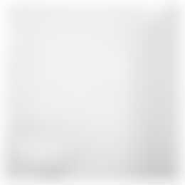 Foto #8 Appartement Venuslaan Eindhoven