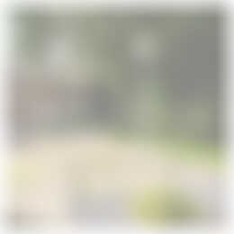 Foto #9 Appartement Venuslaan Eindhoven