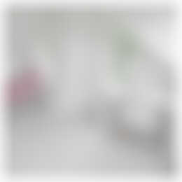 Foto #3 Appartement Venuslaan Eindhoven