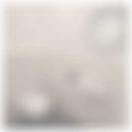 Foto #11 Appartement Bergstraat Waalre