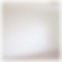 Foto #4 Appartement Aalsterweg Eindhoven