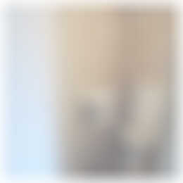 Foto #8 Appartement Aalsterweg Eindhoven