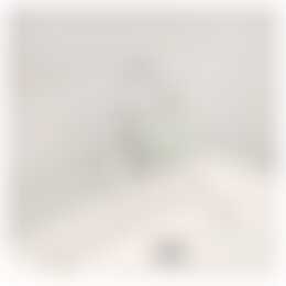 Foto #15 Appartement Lichtstraat Eindhoven