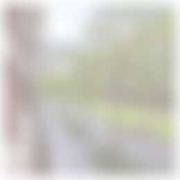 Foto #22 Appartement Lichtstraat Eindhoven