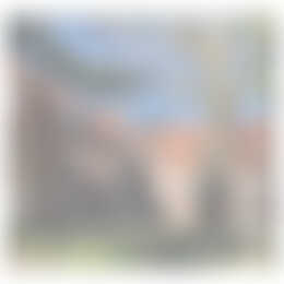 Foto #5 Appartement Jonckbloetlaan Eindhoven