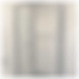 Foto #10 Appartement Fazantlaan Eindhoven