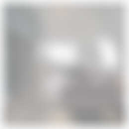 Foto #2 Appartement Fazantlaan Eindhoven