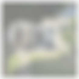 Foto #21 Huurwoning Zuiderzeelaan Eindhoven