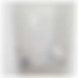 Foto #8 Huurwoning Zuiderzeelaan Eindhoven