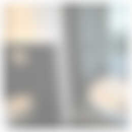 Foto #7 Huurwoning Zuiderzeelaan Eindhoven