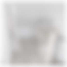 Foto #19 Huurwoning Zuiderzeelaan Eindhoven