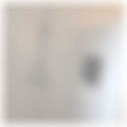 Foto #10 Huurwoning Zuiderzeelaan Eindhoven