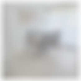 Foto #2 Huurwoning Zuiderzeelaan Eindhoven