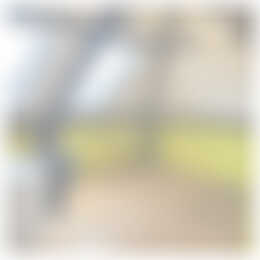 Foto #18 Huurwoning St. Theresiastraat Eindhoven