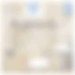 Foto #13 Huurwoning Lakerstraat Eindhoven