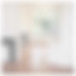 Foto #2 Huurwoning Lakerstraat Eindhoven