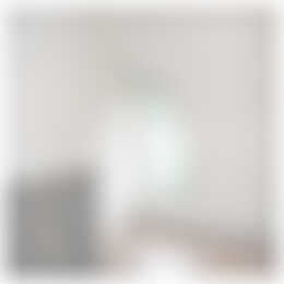 Foto #12 Huurwoning Lakerstraat Eindhoven