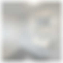 Foto #11 Appartement Broekhovenseweg Tilburg