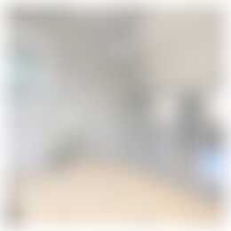 Foto #11 Appartement Johannes de Bekastraat Utrecht