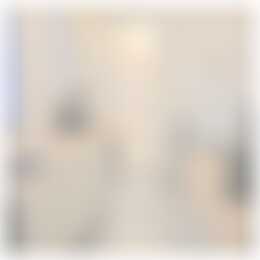 Foto #3 Appartement Zandhofsestraat Utrecht