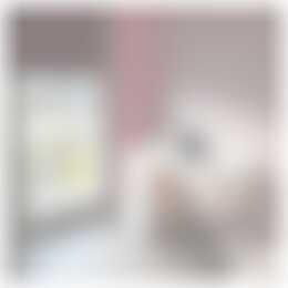 Foto #1 Kamer Arie Kempkesweg Waddinxveen