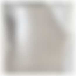 Foto #3 Appartement Van Sijpesteijnkade Utrecht