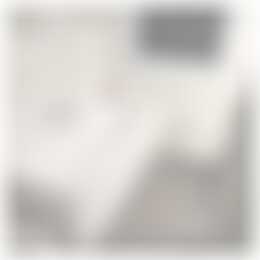 Foto #5 Appartement Van Sijpesteijnkade Utrecht