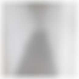 Foto #5 Kamer Sumatraplantsoen Amsterdam