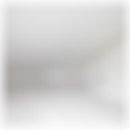 Foto #21 Huurwoning Vroeglustlaan Utrecht