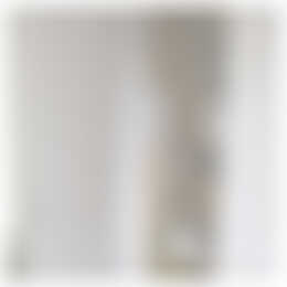 Foto #20 Huurwoning Vroeglustlaan Utrecht