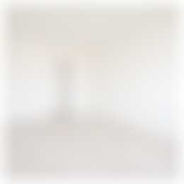 Foto #16 Huurwoning Thorbeckelaan Den Haag