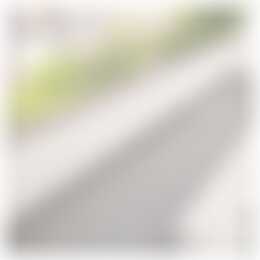 Foto #21 Huurwoning Thorbeckelaan Den Haag