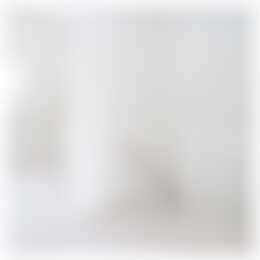 Foto #23 Huurwoning Thorbeckelaan Den Haag