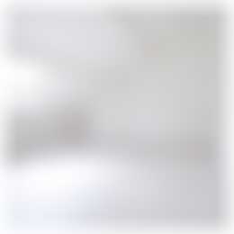 Foto #25 Huurwoning Thorbeckelaan Den Haag