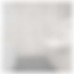 Foto #7 Appartement Joan Muyskenweg Amsterdam