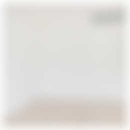 Foto #9 Appartement Churchilllaan Utrecht