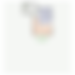 Foto #21 Appartement Churchilllaan Utrecht