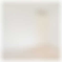 Foto #4 Appartement Slachthuisstraat Den Haag