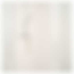 Foto #10 Appartement Slachthuisstraat Den Haag