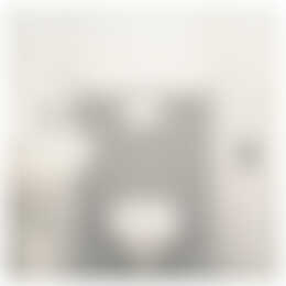 Foto #13 Appartement Slachthuisstraat Den Haag