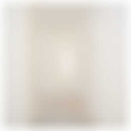 Foto #11 Appartement Slachthuisstraat Den Haag