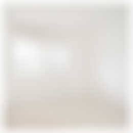 Foto #3 Appartement Slachthuisstraat Den Haag