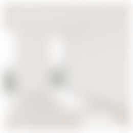 Foto #7 Appartement Veerpolderstraat Arnhem