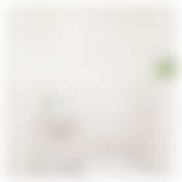 Foto #9 Appartement Veerpolderstraat Arnhem