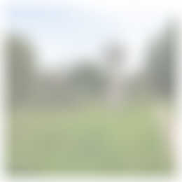 Foto #17 Appartement Veerpolderstraat Arnhem